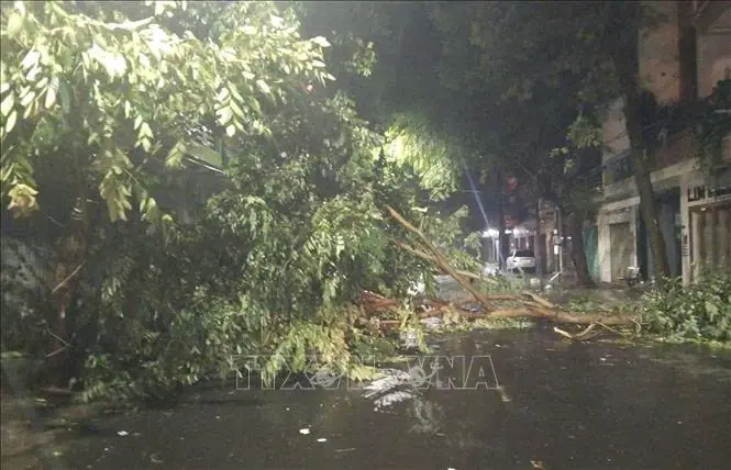 Đài PTTH Hà Nội